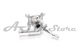 BASE Y TERMOSTATO JEEP COMPASS 2.4L 19 / RENEGADE 2.4 18 /